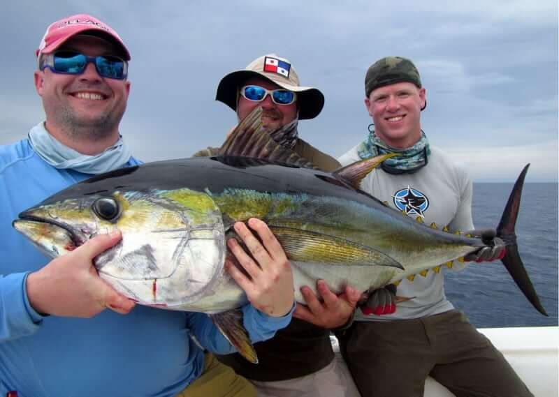 Three smiling anglers holding yellowfin tuna while fishing in Panama at SFPIL