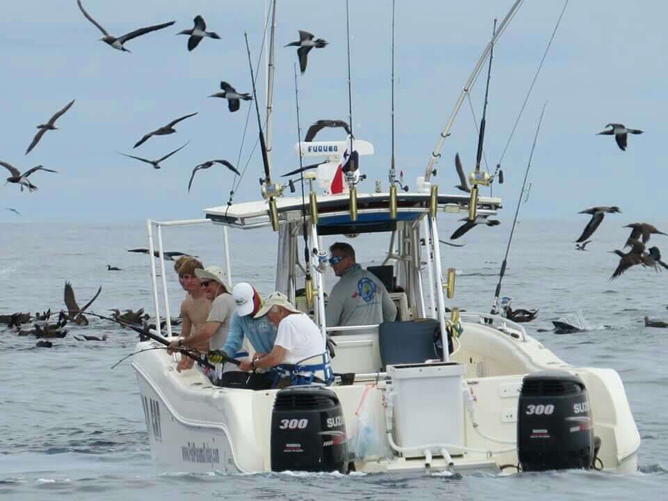 Two anglers fighting fish with birds flocking around the T.O.P CAT as Capt. Shane maneuvers position