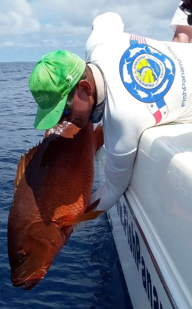 cubera snapper panama; sport fish panama island lodge
