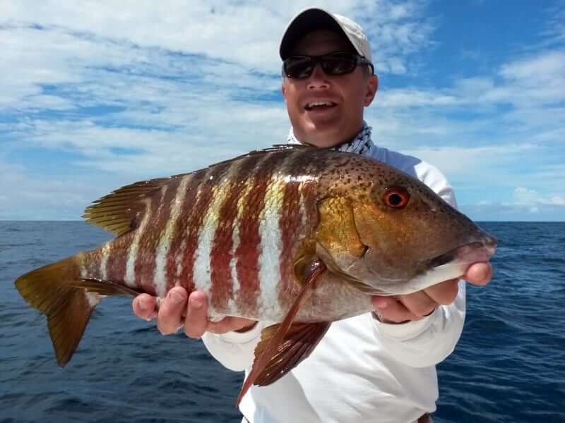 panama fishing report