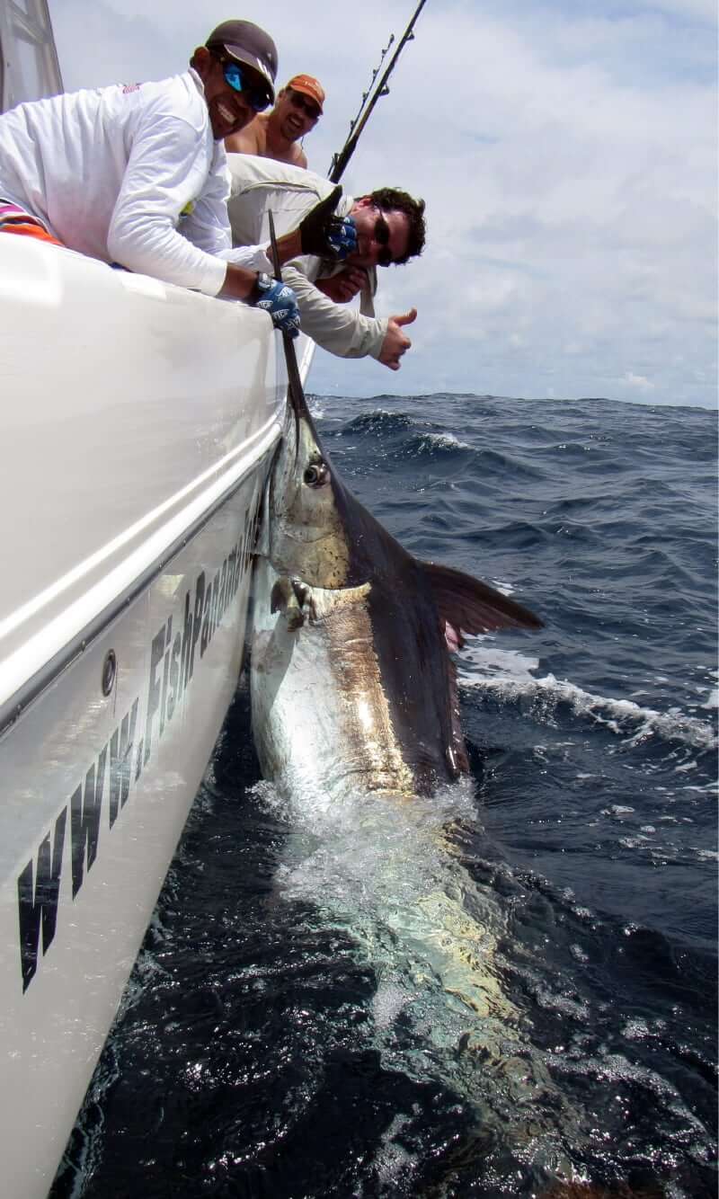 Mate holding large black marlin alongside the T.O.P. CAT, with excited angler giving thumbs up sign