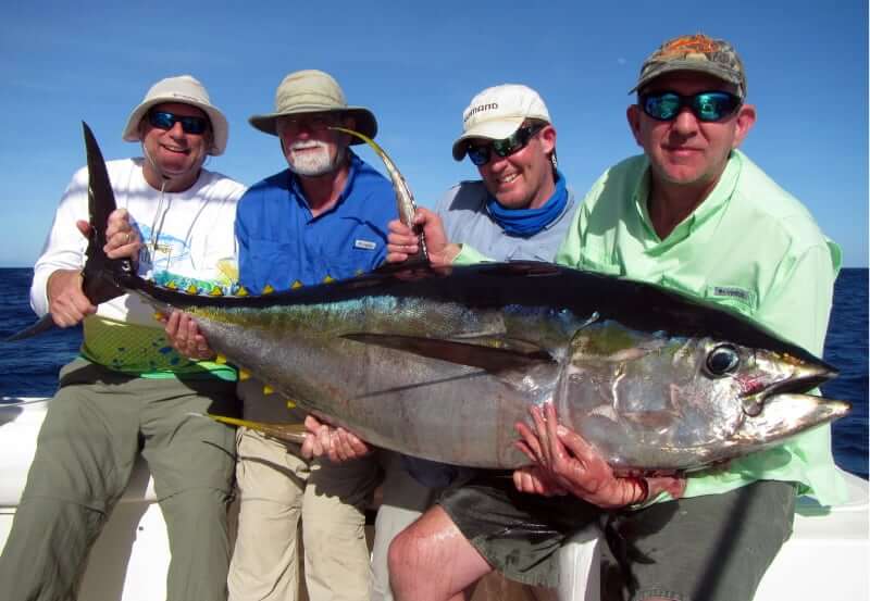 panama fishing report; sport fish panama island lodge