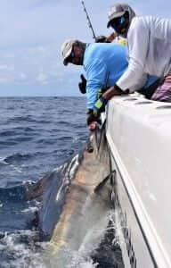 panama fishing