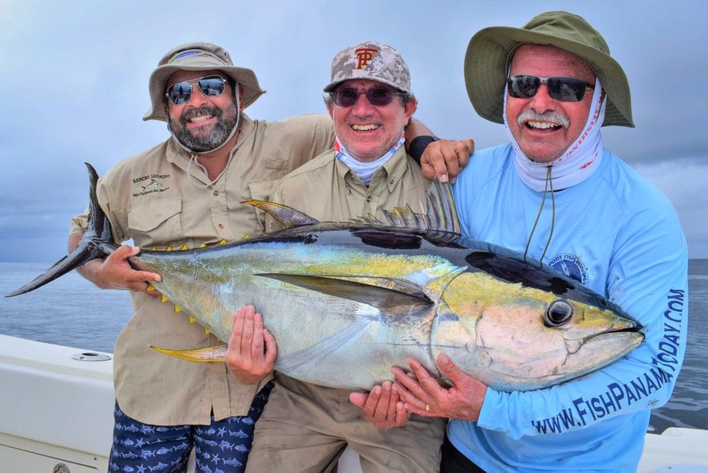 3 anglers holding large yellowfin tuna - Boca Chica panama fishing