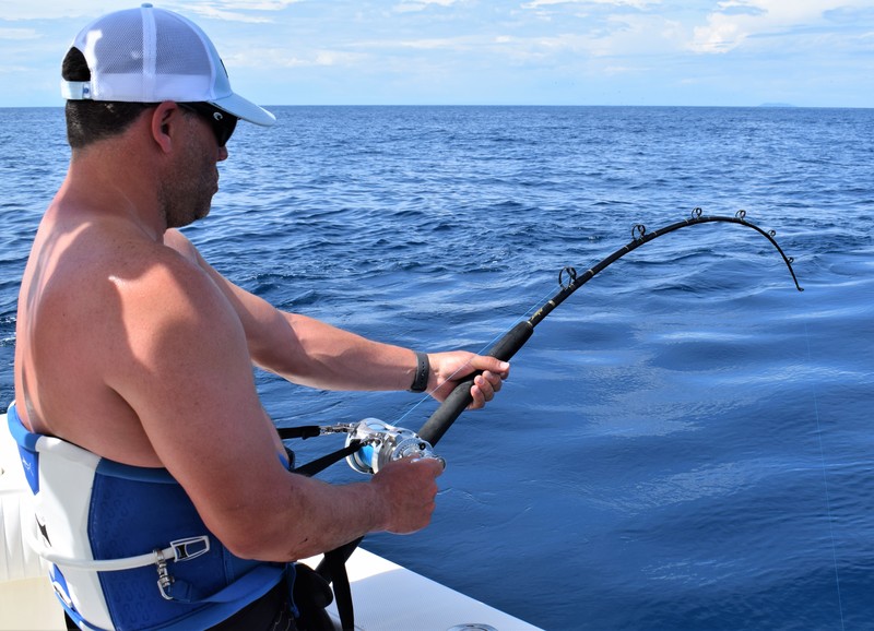 Angler with Stand-Up Harness Offshore Fishing Panama
