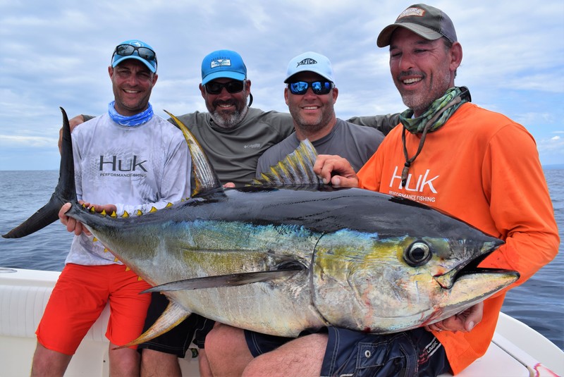 Four anglers holding yellowfin tuna