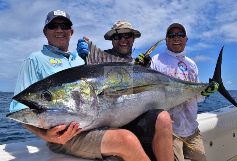 3 anglers posing with monster yellowfin tuna