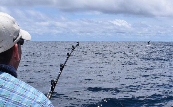 Hooked marlin jumping in the distance. Angler in the foreground.