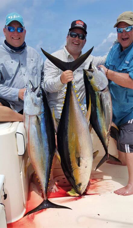 3 anglers posing with and holding 3 yellowfin tunas