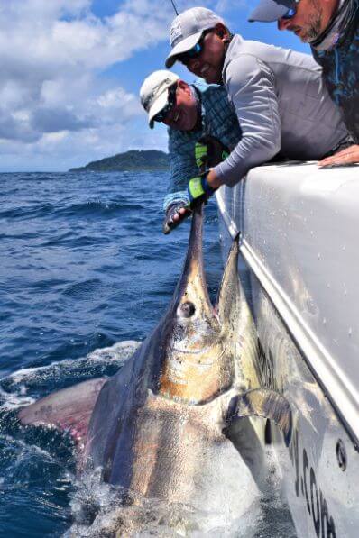 panama fishing charters