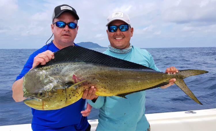 angler posing with Dorado, also known as ‘Mahi-Mahi’ or ‘Dolphin’ . Isla Montuosa, Panama in background.