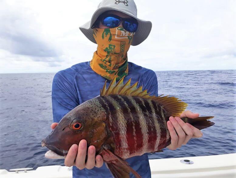 Angler posing with Mexican Barred Snapper or Mexican Barred Pargo or ‘Rocquero’. 