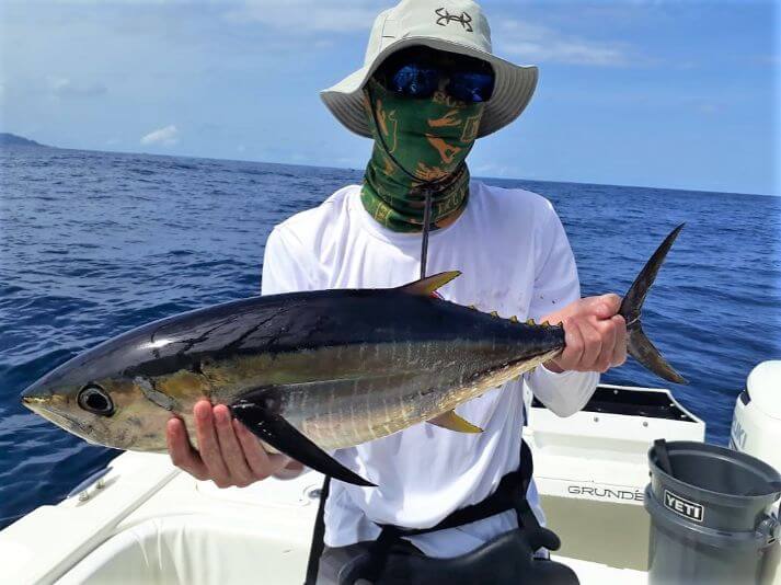 angler posing with small yellowfin tuna.  Isla Montuosa, Panama in background.