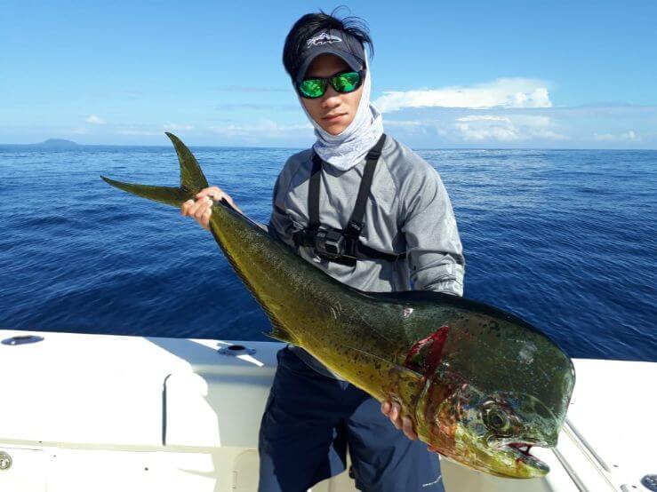 Angler posing with Dorado, also known as ‘Mahi-Mahi’ or ‘Dolphin’    Isla Montuosa, Panama in background.