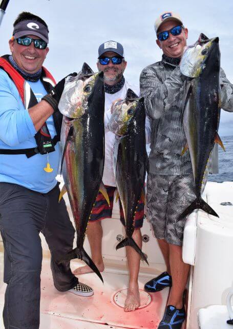 3 anglers holding yellowfin tunas for photo op