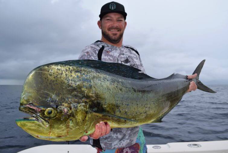 Professional guide posing with large bull Dorado, also known as ‘Mahi-Mahi’ or ‘Dolphin’ 