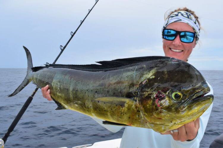 Female angler holding Dorado, also known as ‘Mahi-Mahi’ or ‘Dolphin’ while posing for picture