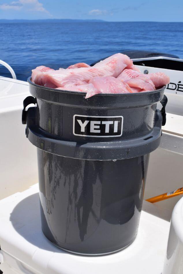 Yeti bucket full of fish filets