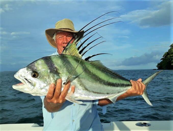 Angler posing with roosterfish at Sport Fish Panama Island Lodge