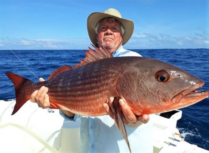 Angler posing with Mullet Snapper