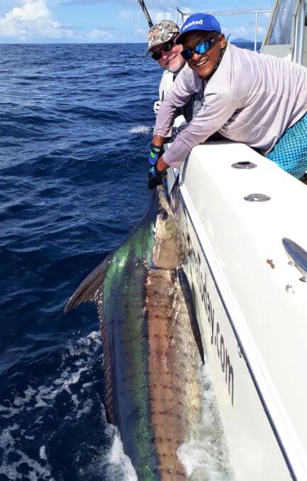 Mate releasing black marlin alongside a World Cat catamaran. Sport Fish Panama Island Lodge