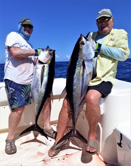 Two anglers posing with Yellowfin Tuna
