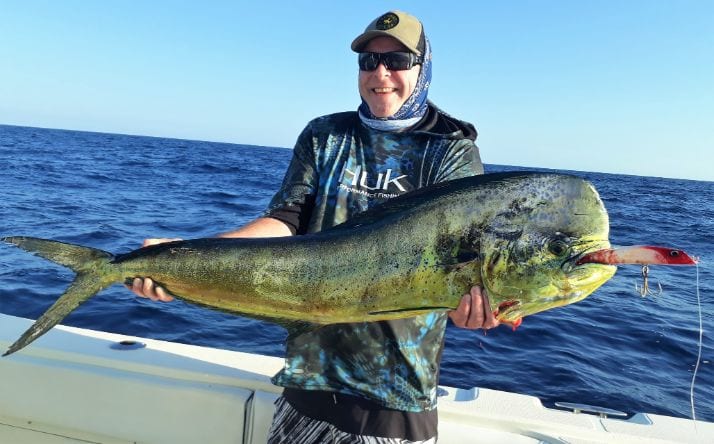 angler holding Dorado, also known as ‘Mahi-Mahi’ or ‘Dolphin’ with lure in mouth