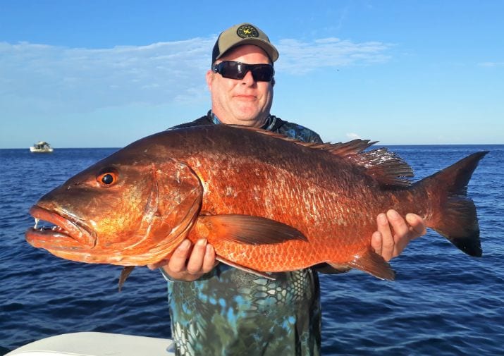 angler posing with large cubera snapper
