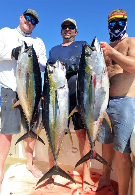 Three anglers posing with Yellowfin Tuna