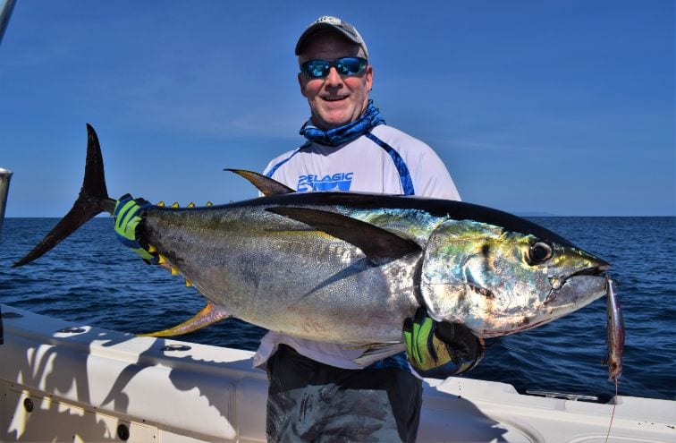 Angler posing with yellowfin tuna with lure dangling from jaw 