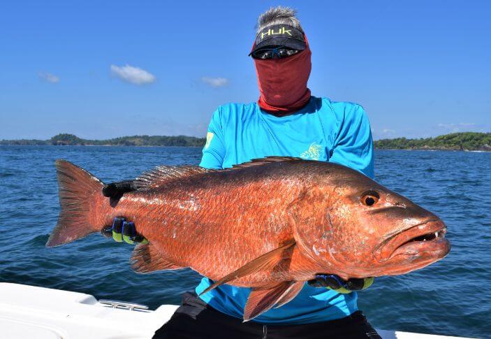 Angler with Huk hat posing with cubera snapper.   Isla Parida, Panama in the background.