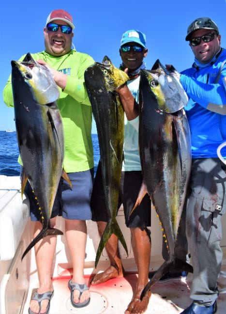 Three anglers holding Yellowfin Tuna for photo op