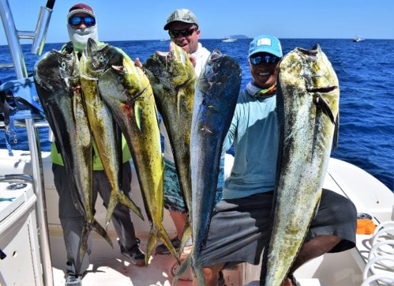 anglers posing with Dorado, also known as ‘Mahi-Mahi’ or ‘Dolphin’ with Isla Montuosa in background