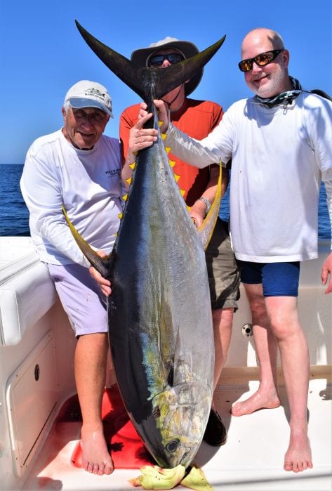 3 Smiling anglers holding a 200 pound Yellowfin tuna
