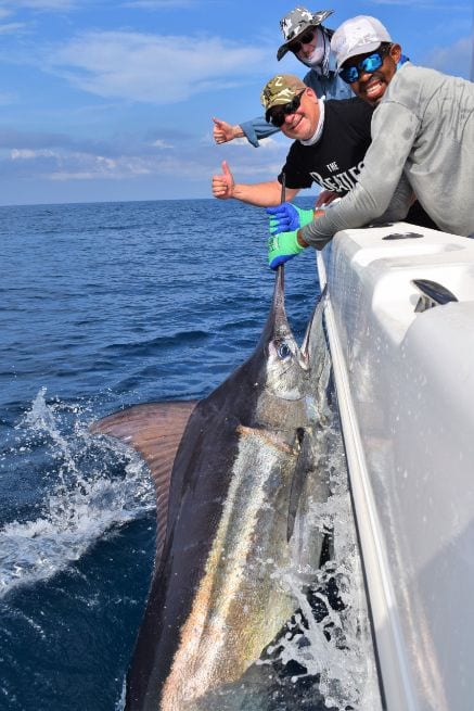 img-March 2019 – Marlin, Roosters, Tuna, Cuberas, and More!