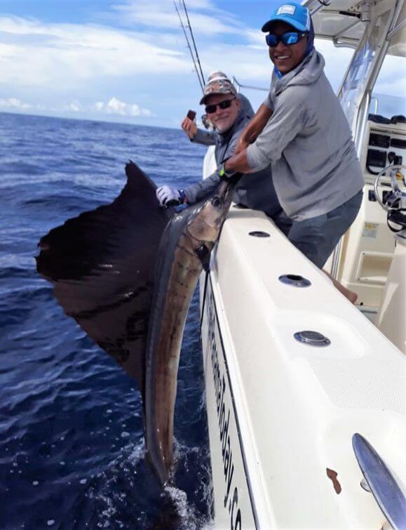Mate releasing a Pacific Sailfish or 'Pez Vela'