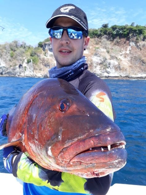 img-February 2019 – Monster Cubera Snappers, Marlin, Roosterfish, Dorado, and some BIG YFTs!
