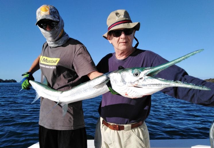Mate holding pacific needlefish for angler