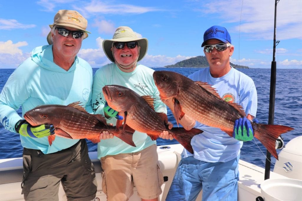 Three anglers holding mullet snapper with Isla Montuosa in background