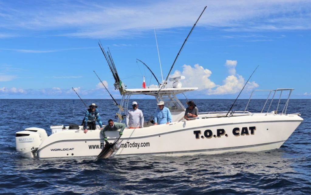 The T.O.P. CAT releasing sailfish with blue sky and clouds in the background.