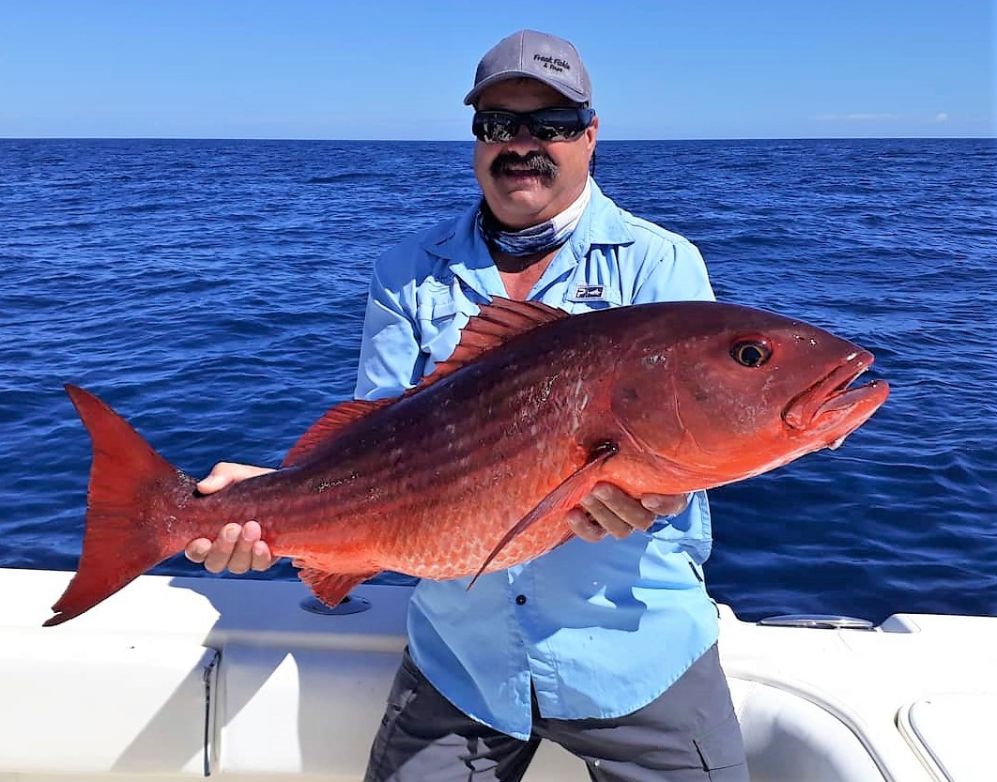 Angler posing with mullet snapper while fishing at Sport Fish Panama Island Lodge