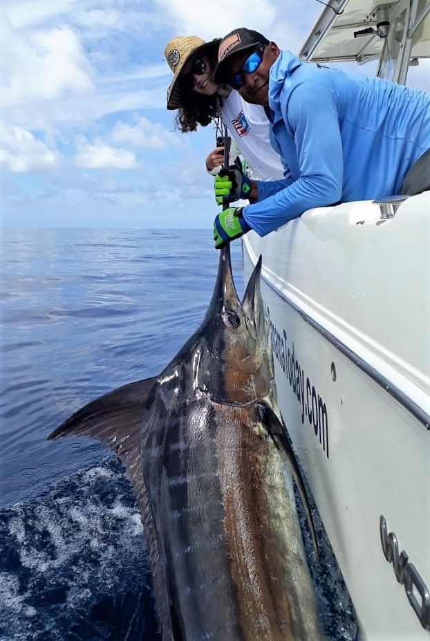 Mate releasing Black Marlin for lady angler