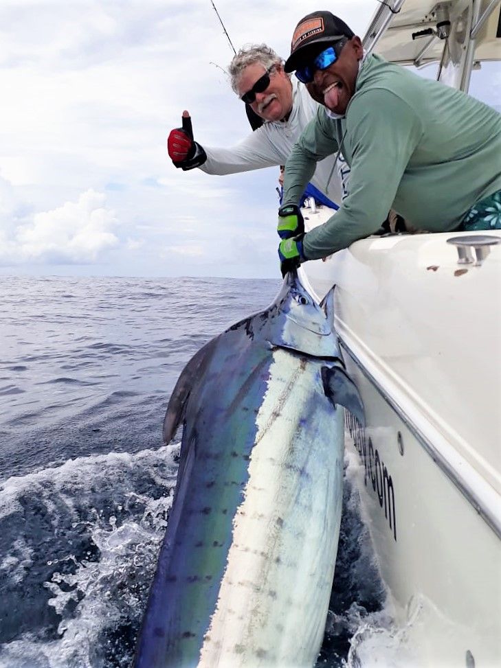 Mate releasing marlin as angler gives the thumbs up sign