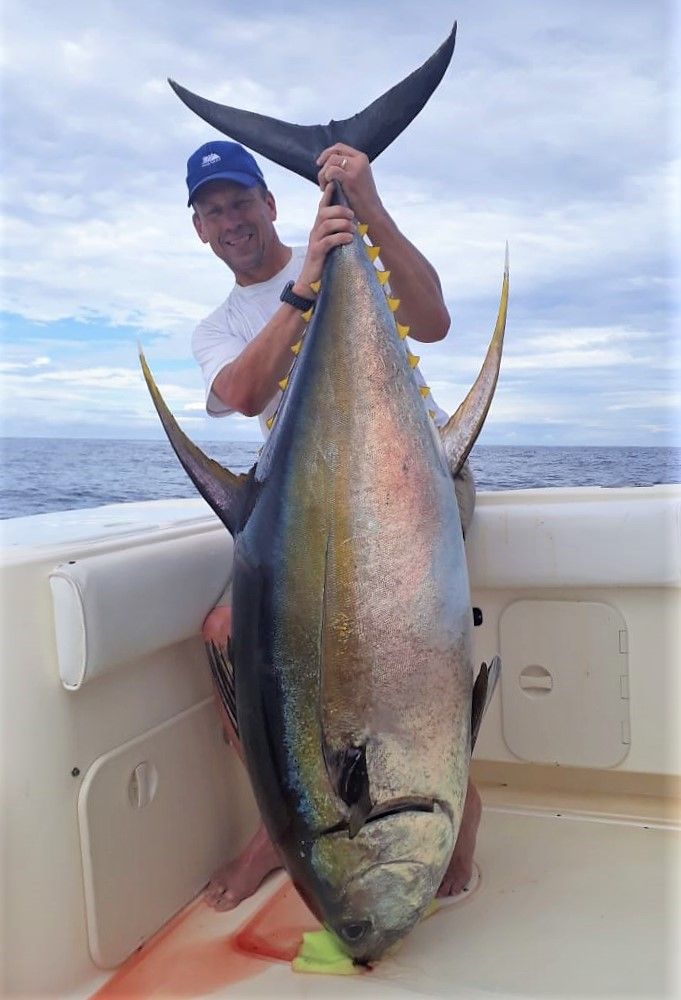 Monster yellowfin tuna held by grinning angler while fishing at Sport Fish Panama Island Lodge