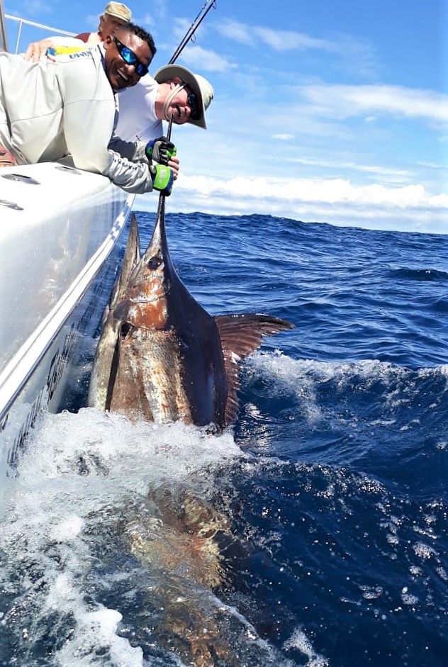 Mate releasing black marlin alongside World Cat