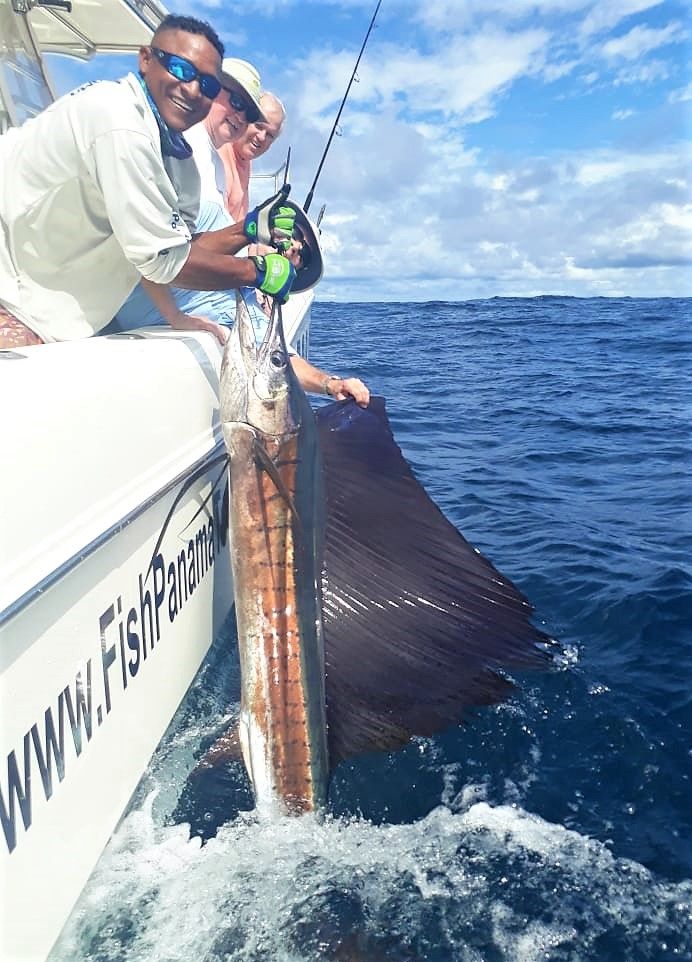 Mate releasing sailfish