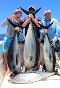 3 smiling angler posing with 3 large tuna