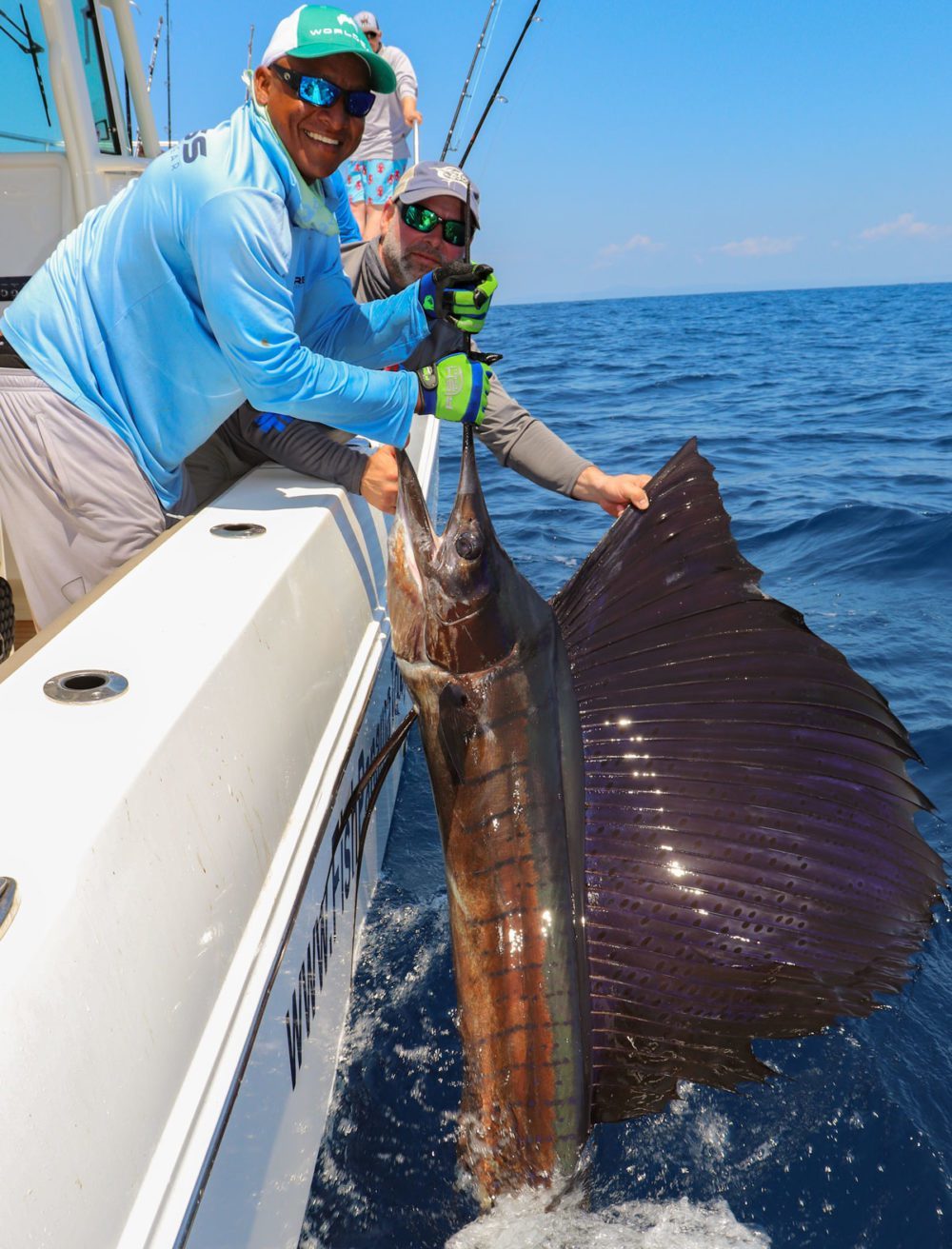 What Is a Billfish, and How Do We Catch them in Panama?