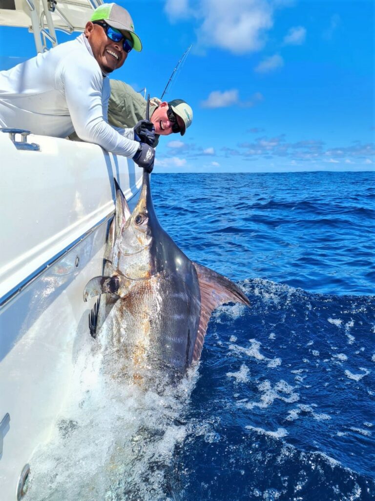 How to Catch Marlin on Your Next Expedition - Fish Panama Today
