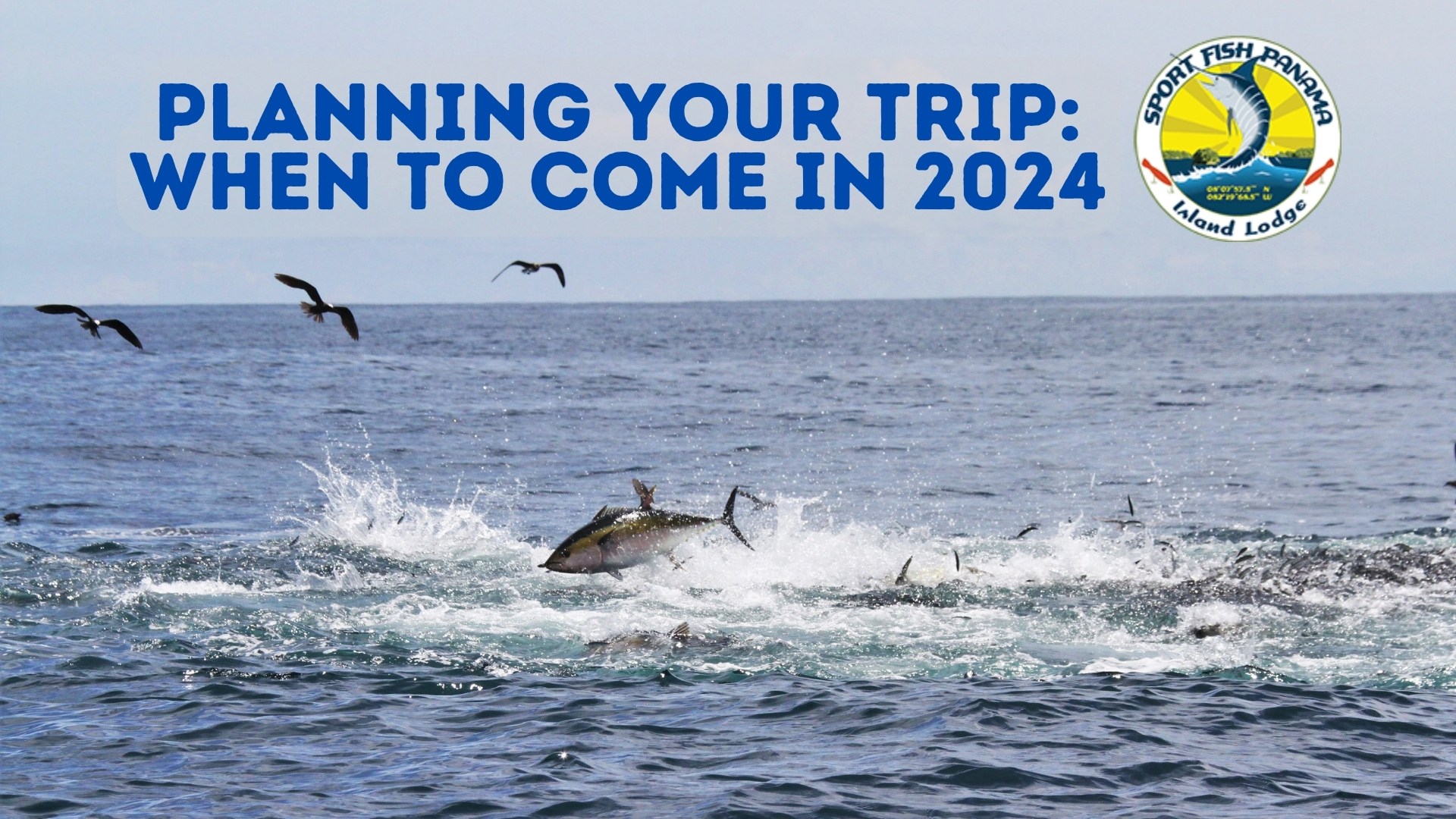 img-Planning Your 2024 at the Sport Fish Panama Island Lodge